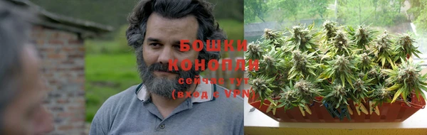 PSILOCYBIN Богданович