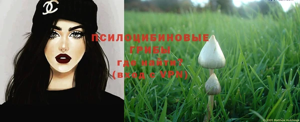 прущие грибы Богородицк