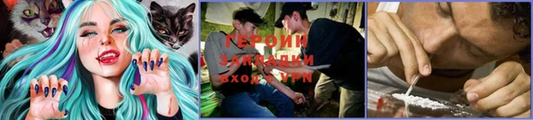 PSILOCYBIN Богданович