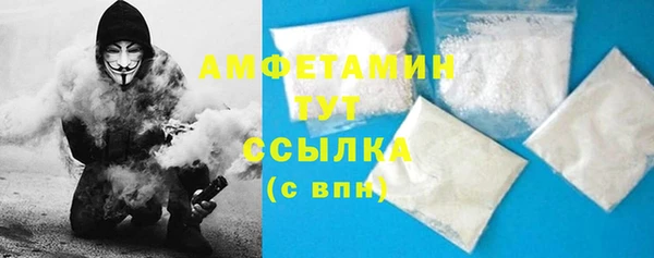PSILOCYBIN Богданович