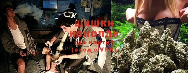 PSILOCYBIN Богданович