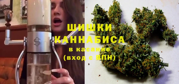 PSILOCYBIN Богданович