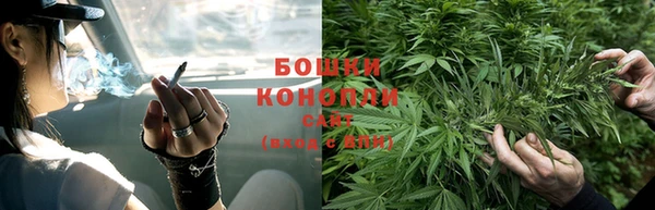PSILOCYBIN Богданович